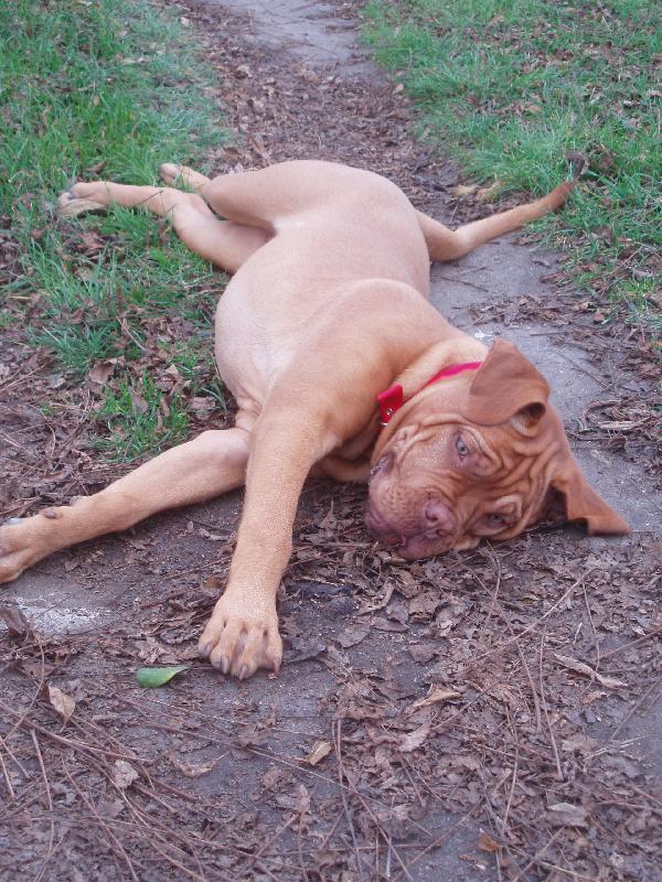 Foto: Opočinek-Odpočinek