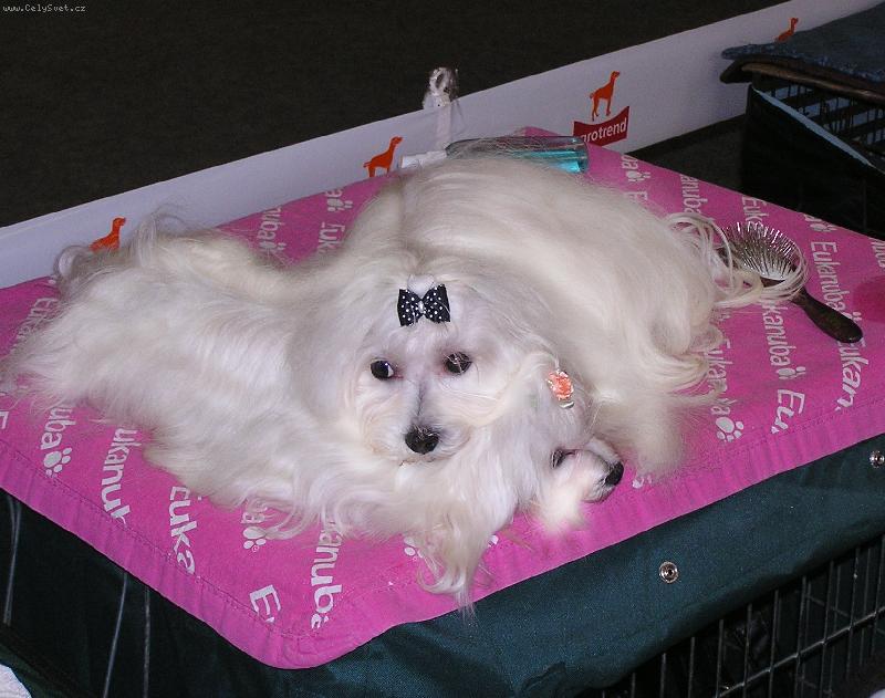 Foto: Debi a Fred-Na jedné výstavě