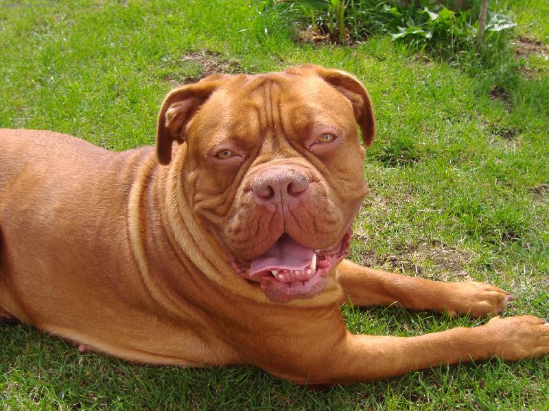 Foto: úsměv prosím