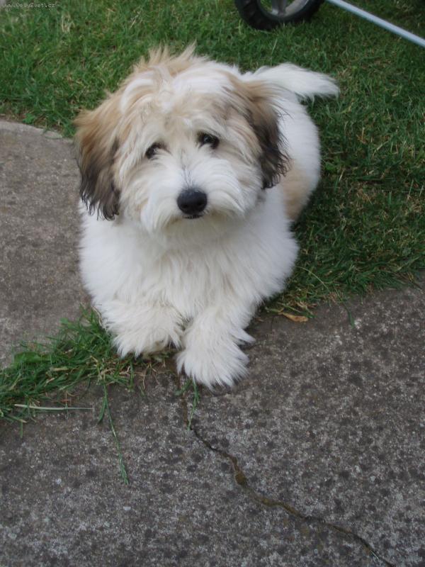 Foto: Enny-4. měsíce