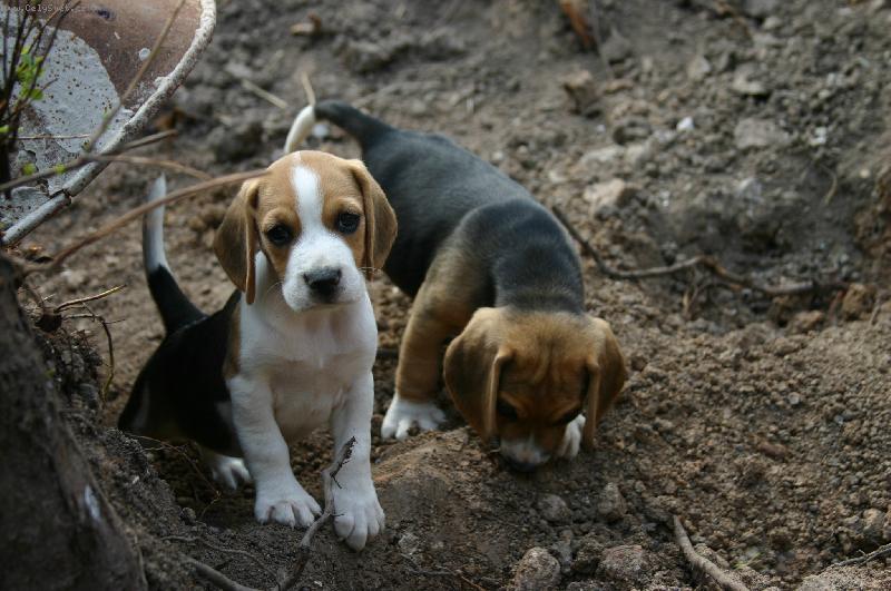 Foto: moje miminešto