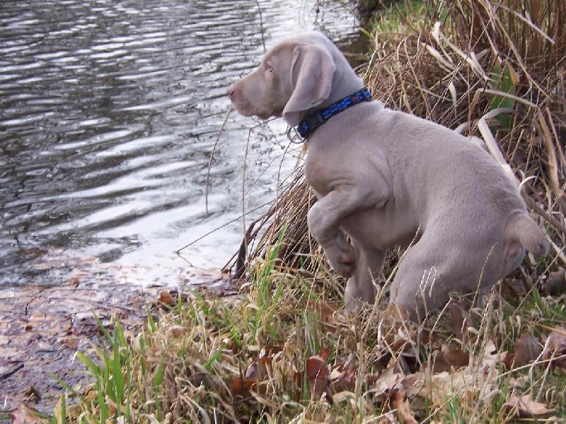 Foto: Caesar-Chytrý kluk