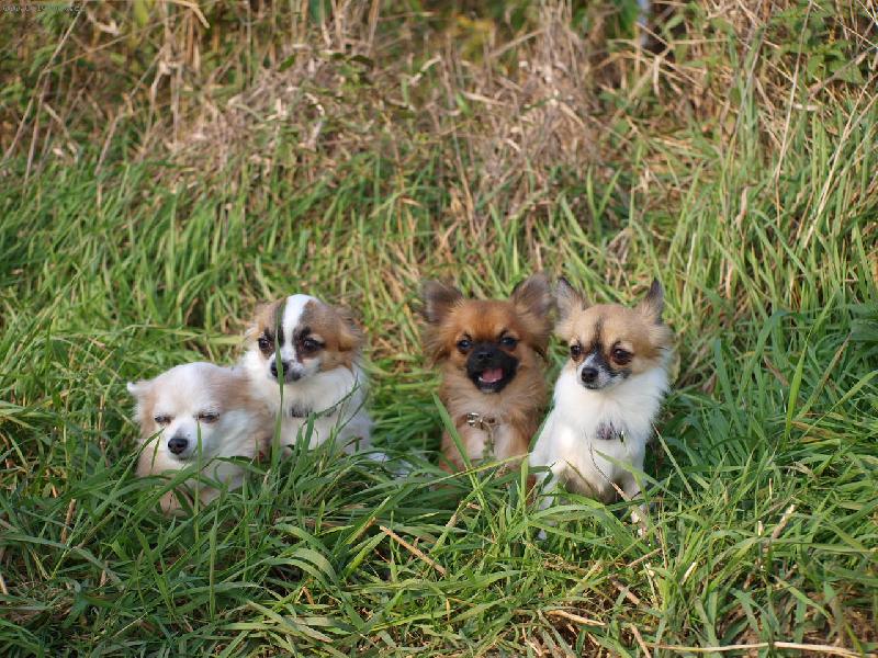 Foto: www.denelis.estranky.cz