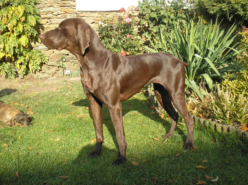 Foto: Odeta z Českého lesa