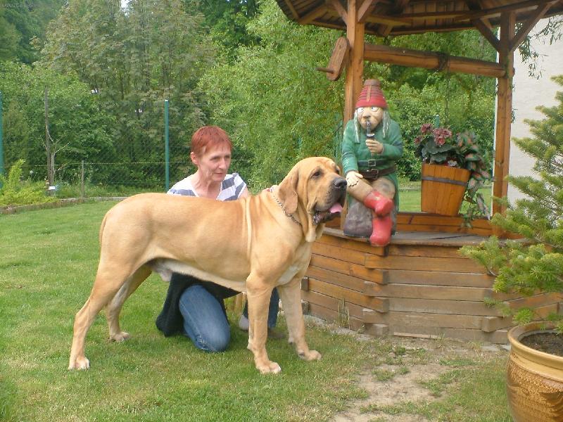 Foto: Imperio Dorado Bruno-naš Bruno mazlik