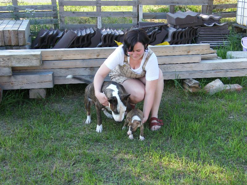 Foto: Tak už máme doma dva buliky