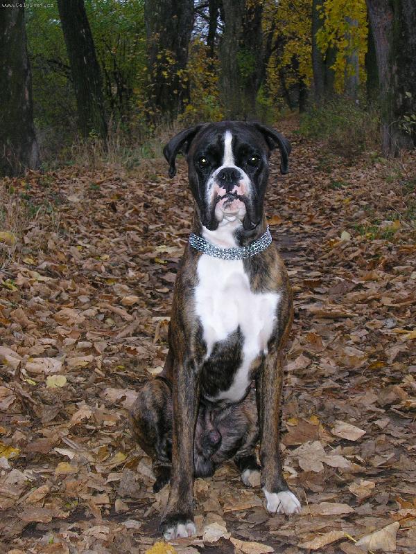 Foto: Podzim a Maxík