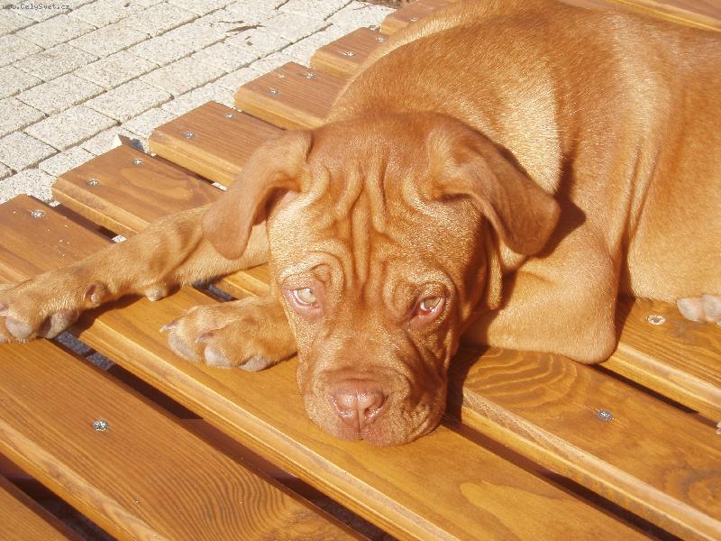 Foto: Unavinkanááá