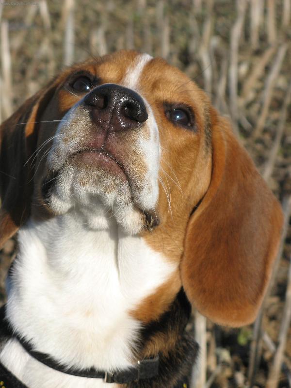 Foto: Maťo-Náš Maťko