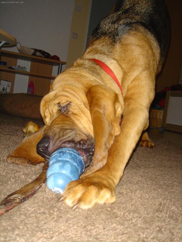 Foto: Berta a jeji Kong