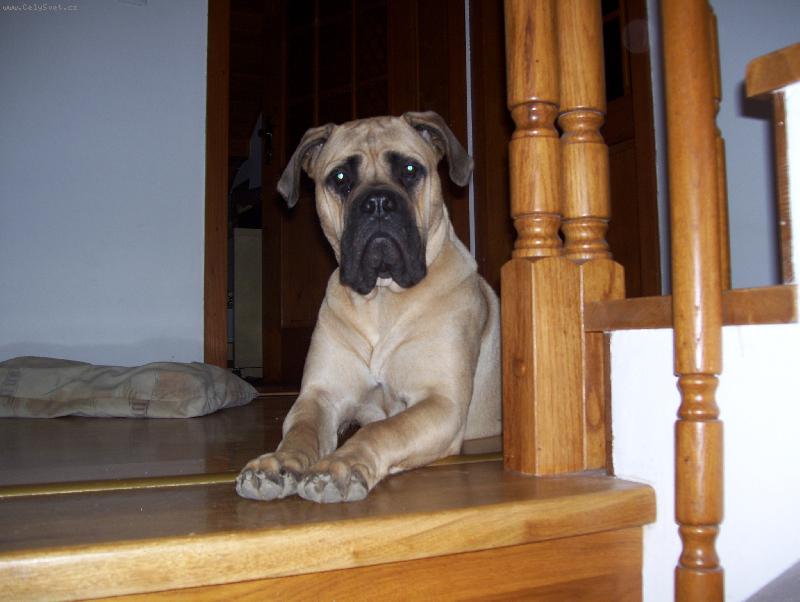 Foto: Nelly-Nelinka má 10. měsíců