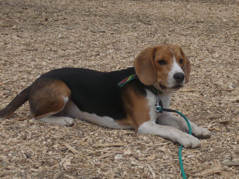 Foto: Billiček Olomouc-Billíček Olomouc