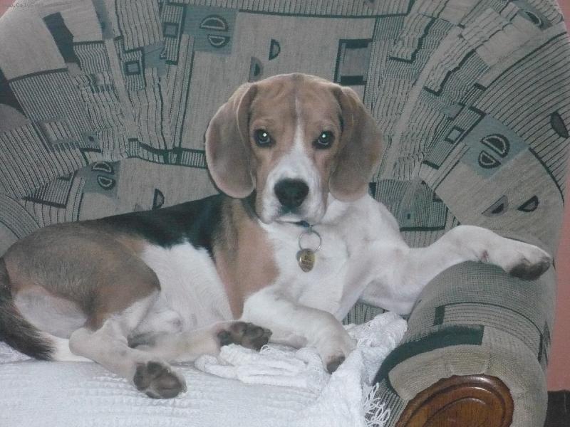 Foto: Billiček Olomouc 1rok-Billíček Olomouc 1rok