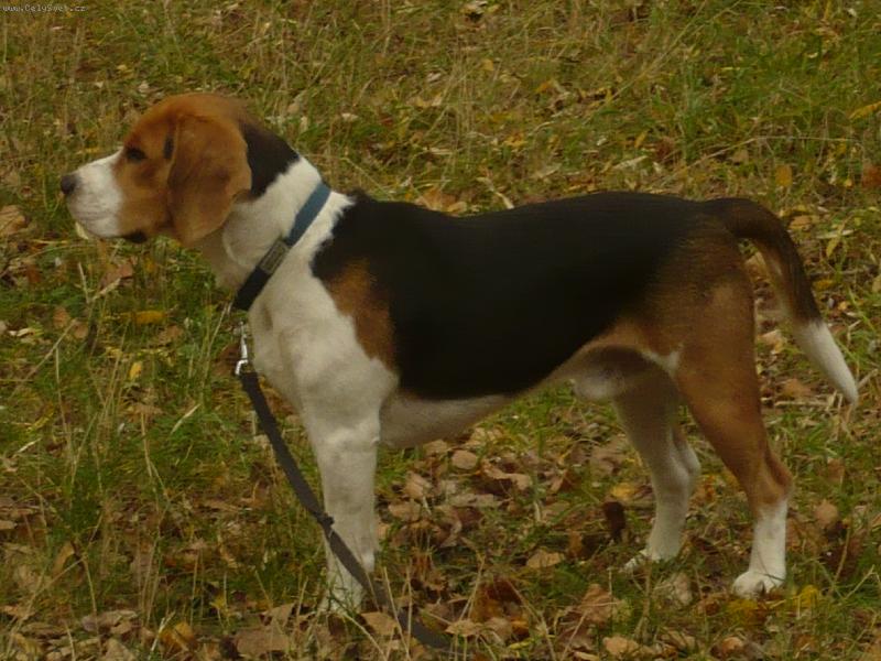 Foto: Billiček Olomouc 1rok-Billíček Olomouc 1rok