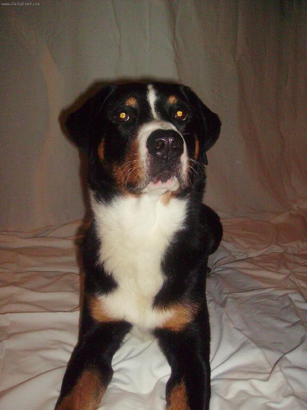 Foto: Angelo Novaboon Paradise-domácí ateliér