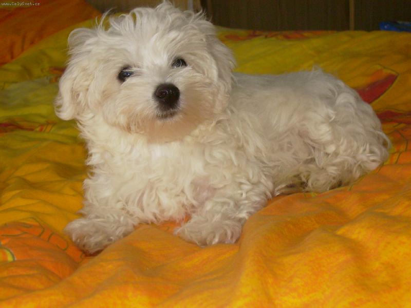 Foto: Matýsek 2-Jsem fešák ...