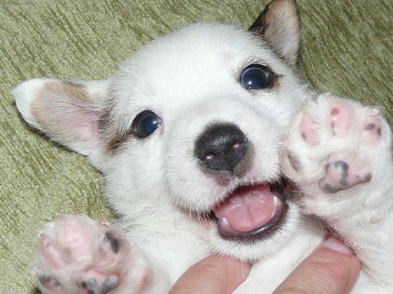 Foto: Berry od Andulky-Berrýsek na lopatkách