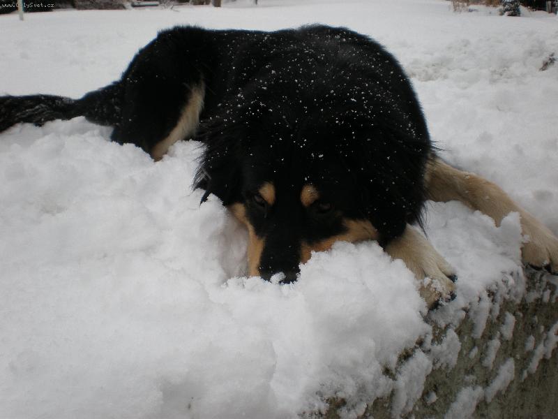 Foto: Akim ve sněhu