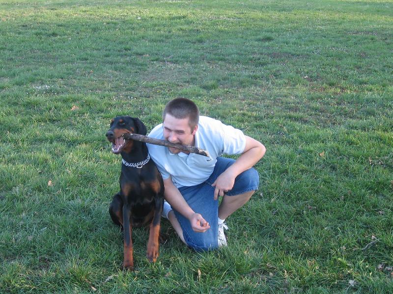 Foto: Já ho chci taky-Dobrmanka z CHS Ebony Queen v soutěži o silnější zuby.Kdo myslíte, že vyhrál?