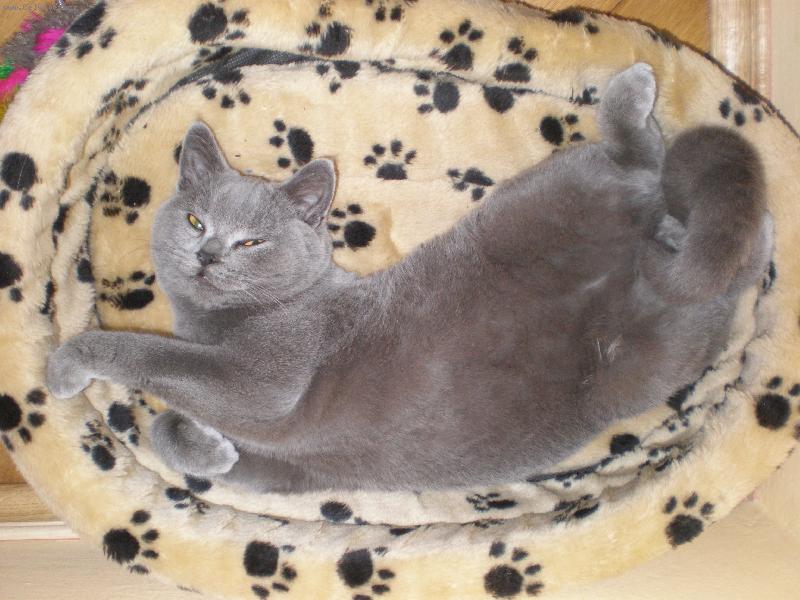 Foto: Odpočinek-Deni (5 měsíců)