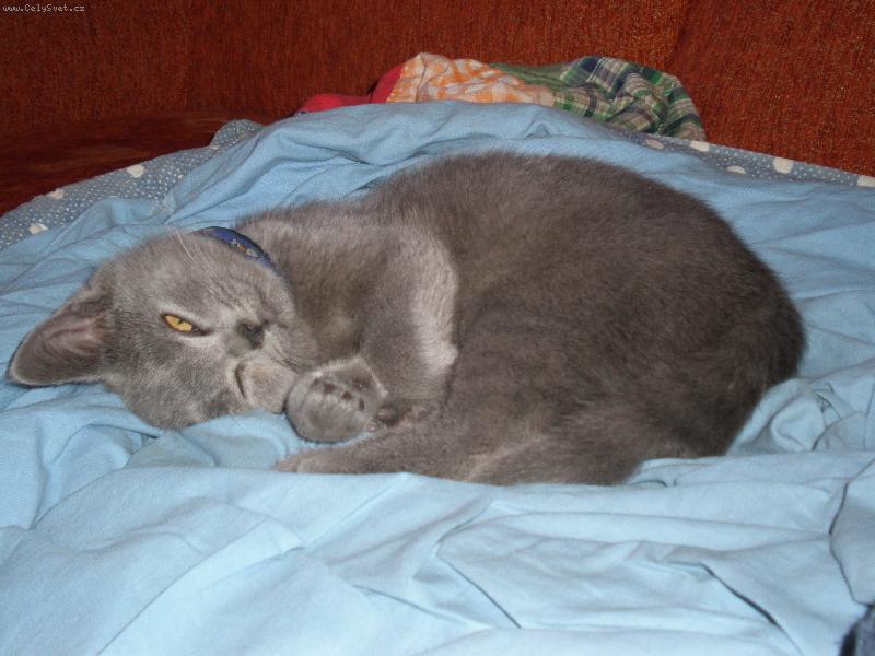 Foto: Odpočinek-Deni (3 měsíce)