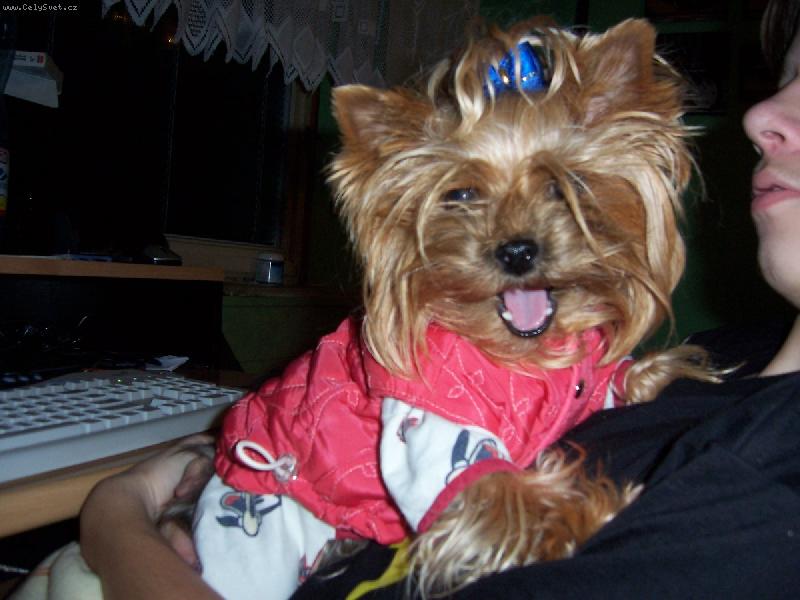 Foto: Nikynka-víš že si k smíchu