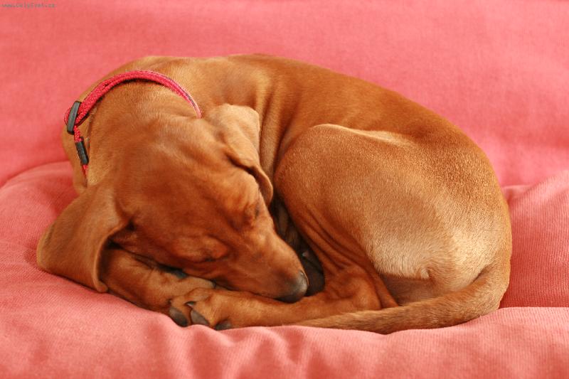 Foto: Casseynka-moje holčička