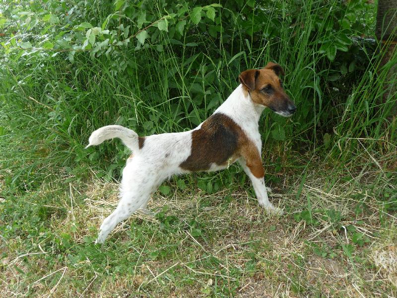 Foto: naše Asta-naše asta je hodně fotogenická