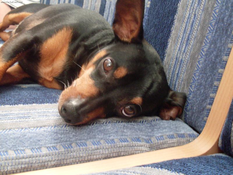 Foto: Mates-Matesův roztomilej kukuč