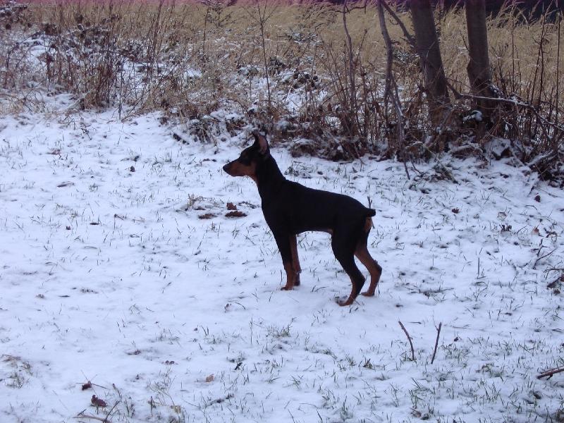 Foto: Art  5měsícu