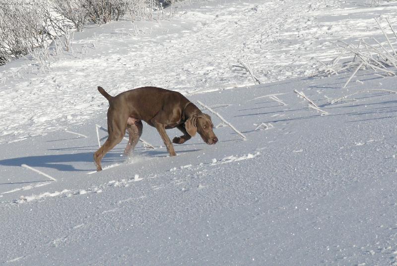 Foto: sníh je prostě boží-je mi sedm měsíců