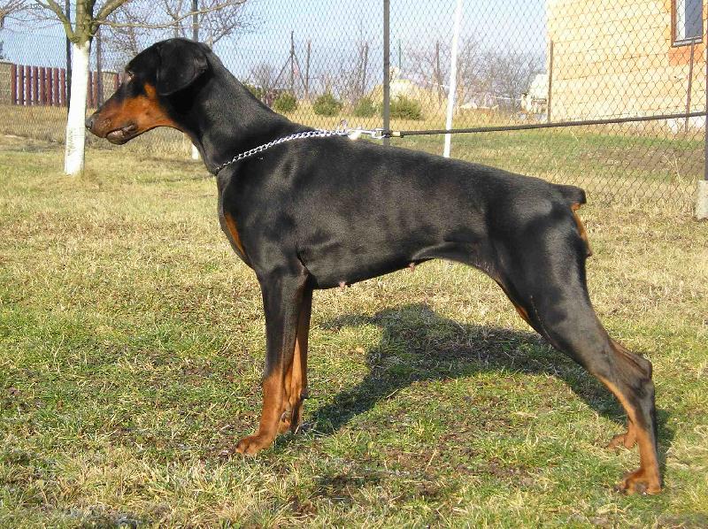 Foto: KIm Čerhý trůn