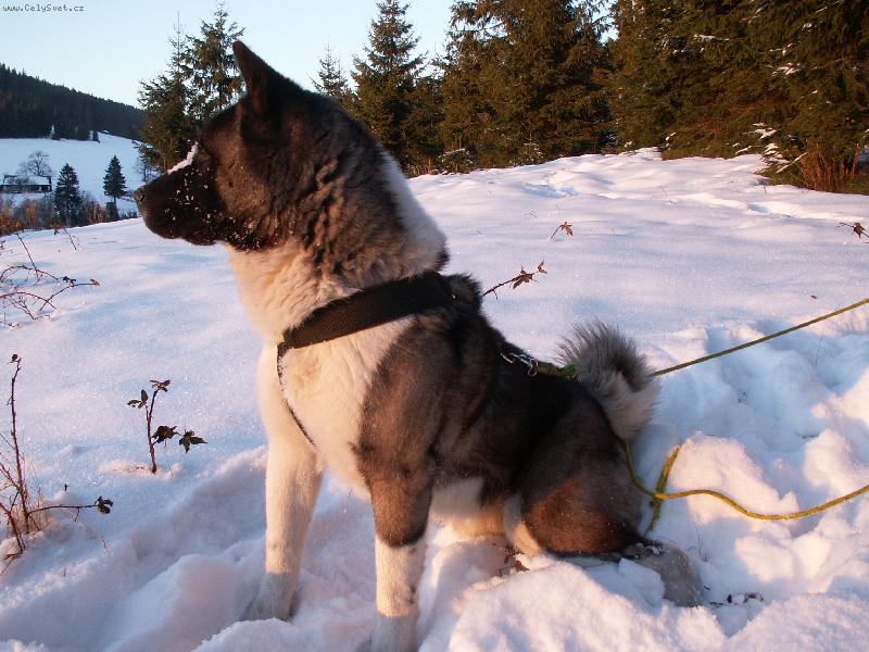 Foto: Akim-Silvestrovský výlet