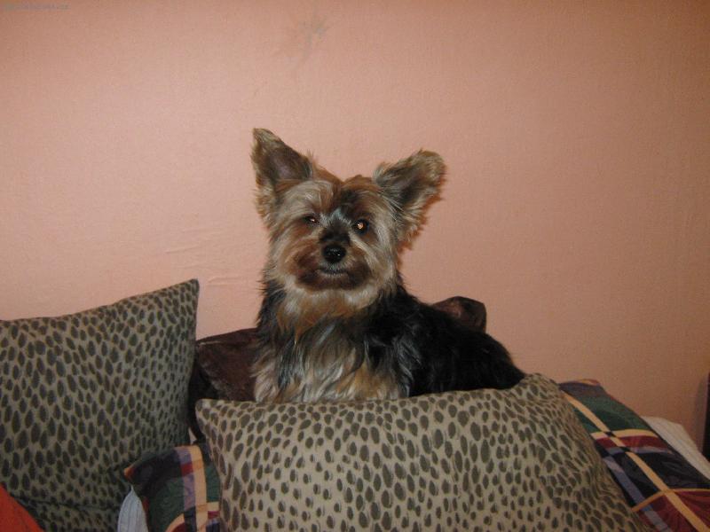 Foto: Aki-Aki jméno mé