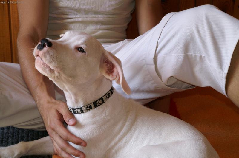 Foto:  malej   hlídac