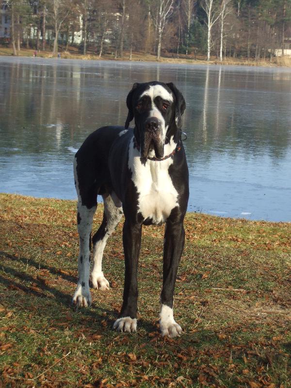 Foto: Etoscha od Hanínského lomu