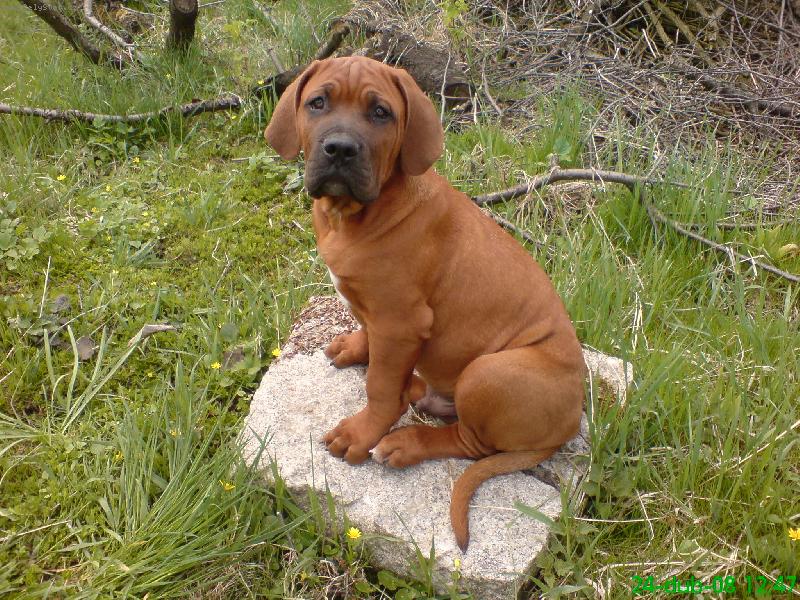 Foto: Gorbík-ve třech měsících