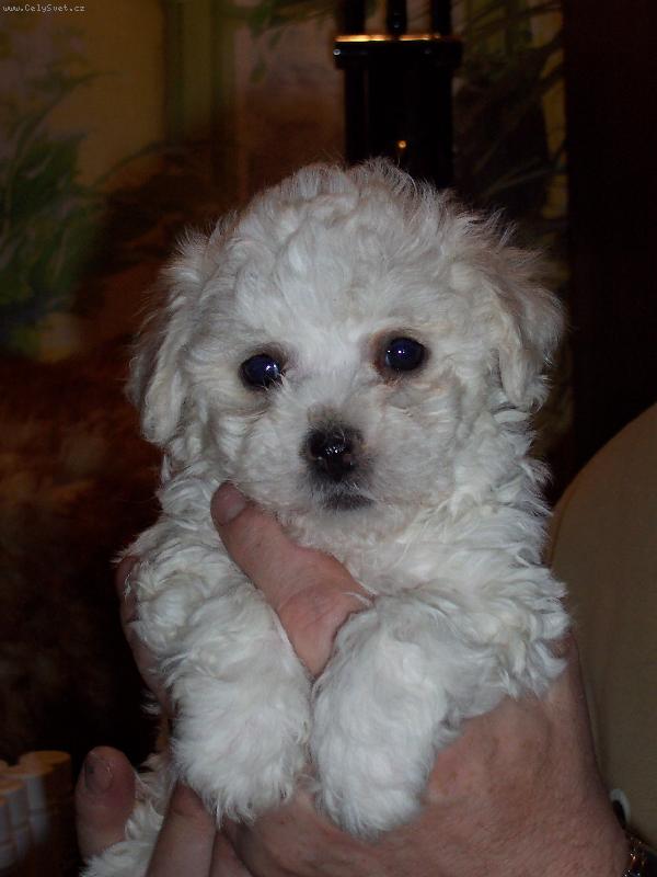 Foto: nový přírůstek