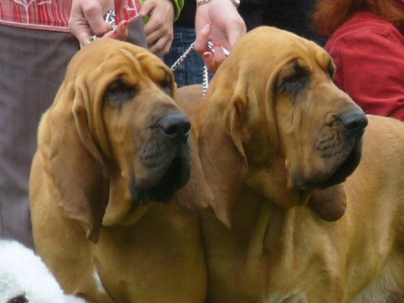 Foto: soustředění