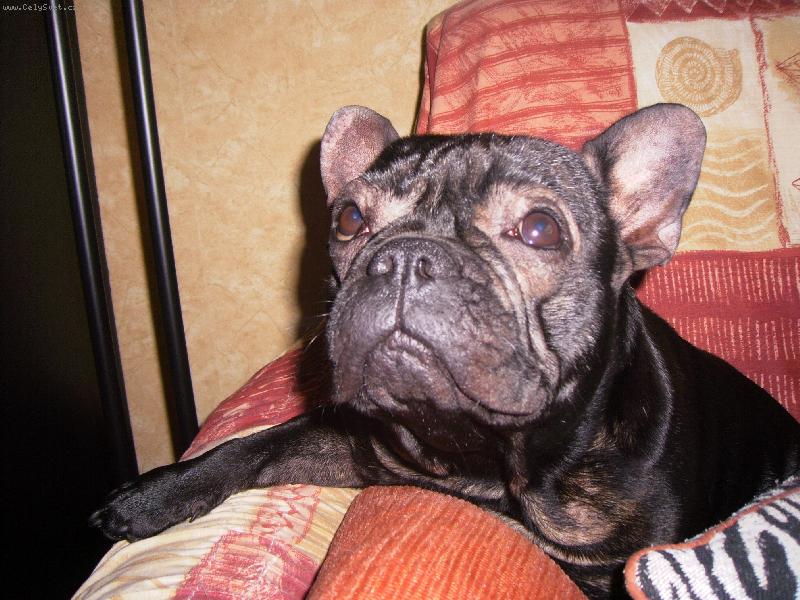 Foto: Barunka-Jsem paničky miláček