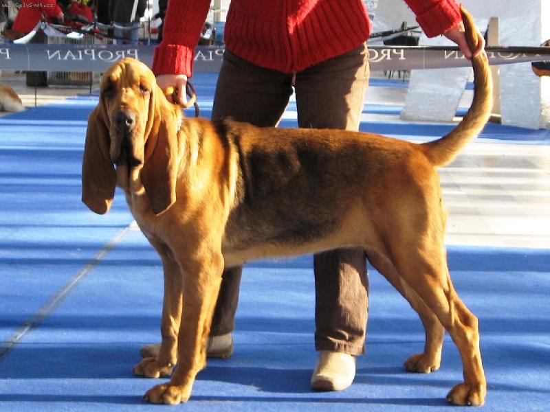 Foto: Ardenna Bascoretta - 1 rok-z výstavy