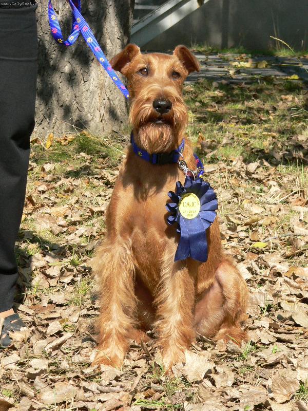 Foto: Eda-náš krasavec