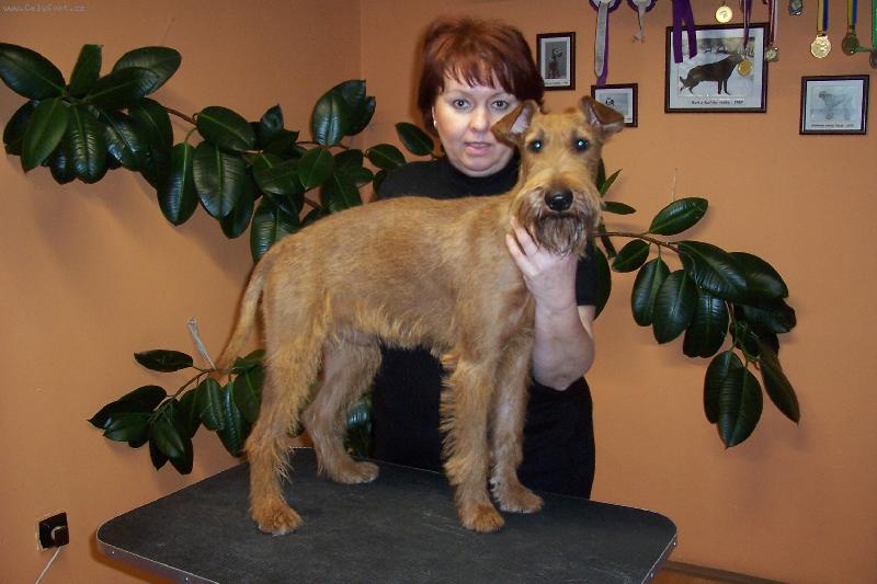 Foto: úprava před výstavou