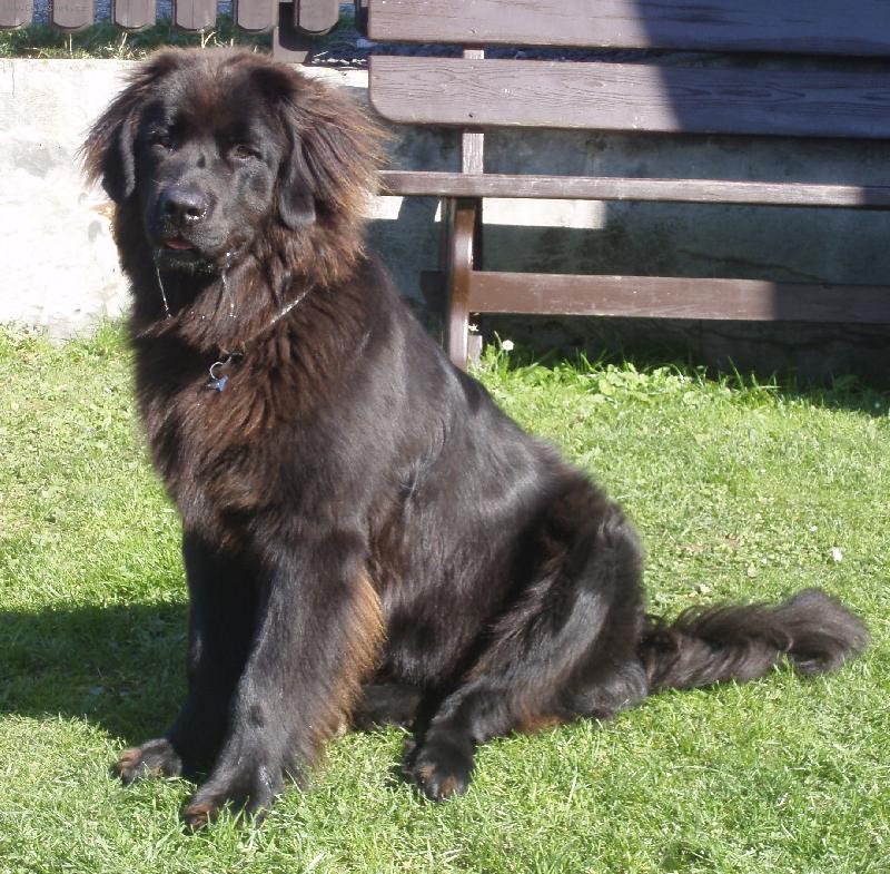 Foto: Viky z Krkonoš