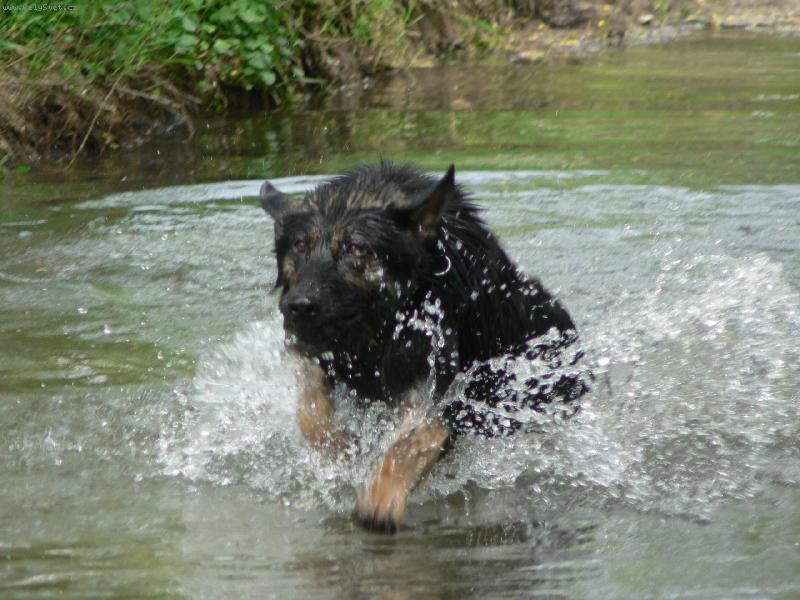 Foto: Už bežím...-Gera