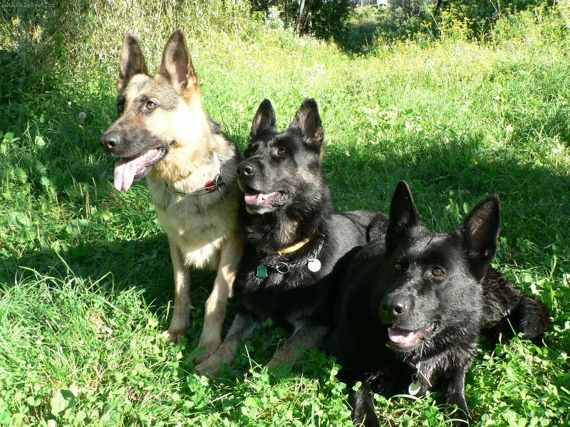 Foto: Rodina-mama a jej dve dcéry-Bigga,Gera a Ara