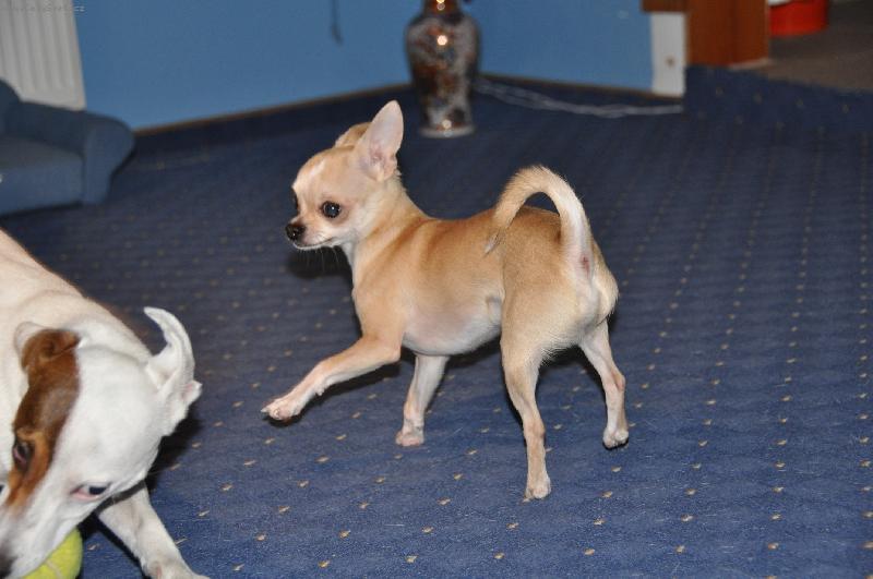 Foto: Lucík okukuje