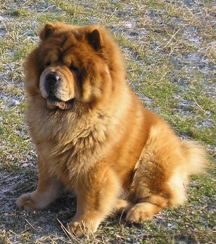 Foto: Hlídám a hlídám...