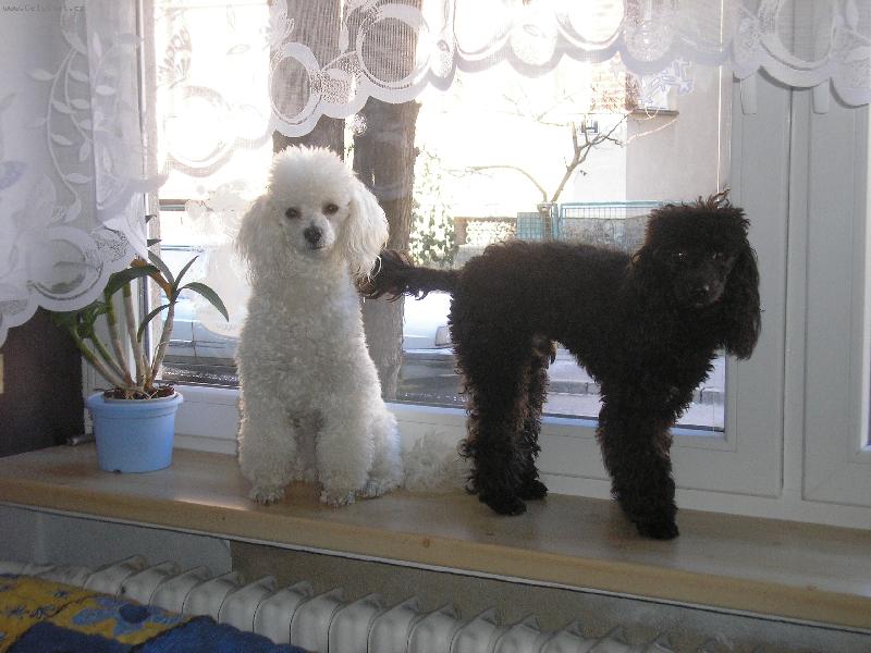 Foto: Matýsea a Filípek