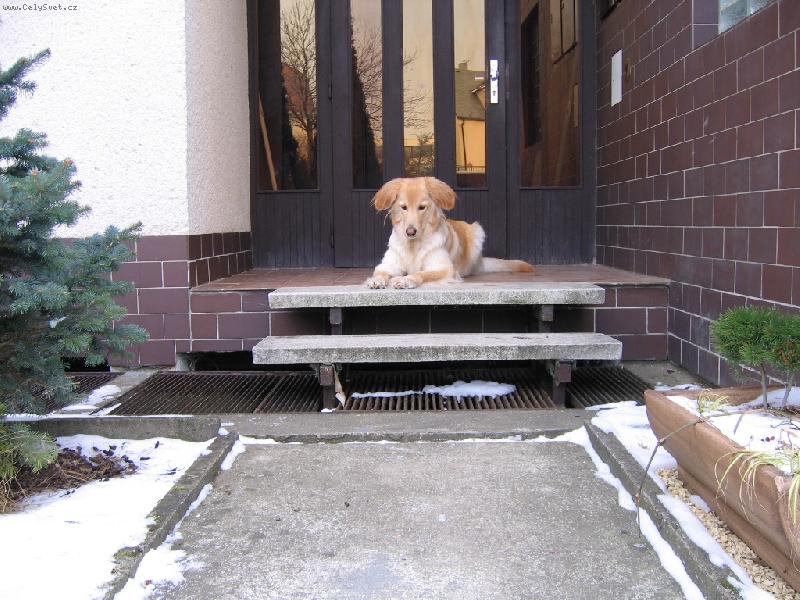 Foto: Bona Dea Siderecan-Naše "blondýnka" =o)